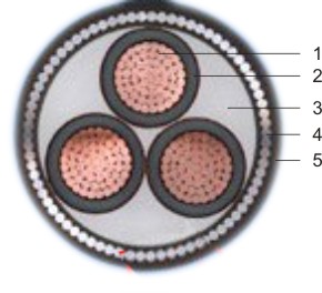 ��|�Y(ji��)��(g��u)ʾ��D